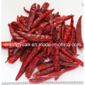 Dried Red Chili, Paprika Pods, Hot Chili